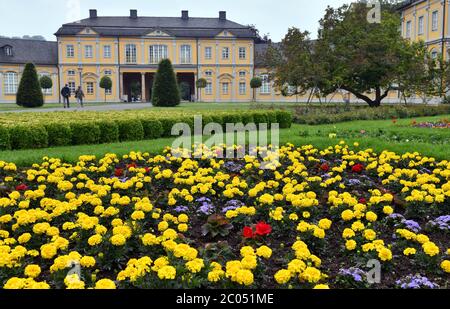 Gera, Allemagne. 11 juin 2020. Les fleurs fleurissent dans le jardin de la cuisine, un jardin de plaisir baroque avec l'orangerie. Après les jours froids et pluvieux passés, les Allemands peuvent se laisser aller jusqu'à vendredi avec impatience. Credit: Martin Schutt/dpa-Zentralbild/dpa/Alay Live News Banque D'Images