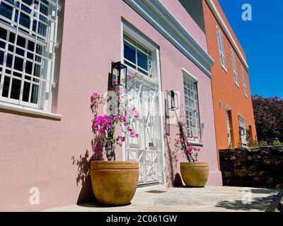 Fleurs sur une belle terrasse africaine à Bo-Kaap, Schotsche Kloof. Banque D'Images