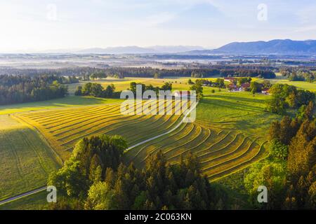 Pré et hameau de Hofstätt, paysage culturel près d'Eurasburg, pays de Tölzer, enregistrement de drones, contreforts alpins, haute-Bavière, Bavière, Allemagne, Banque D'Images