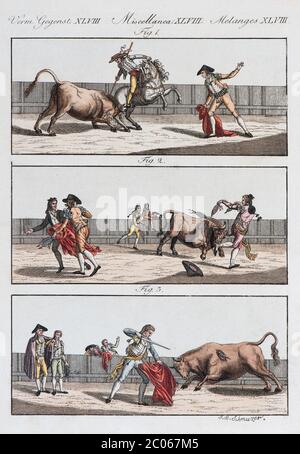 Corrida espagnole, gravure en copperplate de couleur main de Friedrich Justin Bertuch livre d'images pour enfants, 1805, Weimar, Allemagne, Europe Banque D'Images