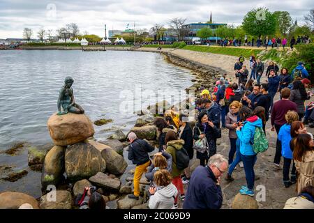 Touristes devant la petite Sirène, point de repère de Copenhague, Port de Copenhague, Danemark Banque D'Images