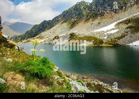 Val Tartano - Valtellina (IT) - Porcile Lakes Banque D'Images