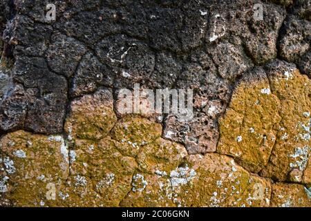 Écorce d'un vieux mur de bâtiment, textures de béton vintage . Banque D'Images