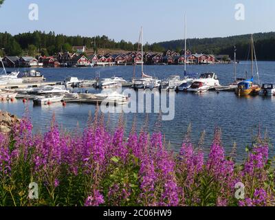 Village suédois et port de plaisance Norrfällsviken Banque D'Images