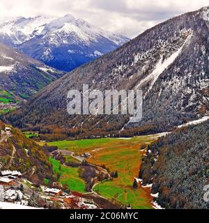 Saint Bernard Banque D'Images