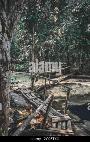 Sentier dans une jungle à proximité des chutes d'eau de Kuang si au Laos Banque D'Images