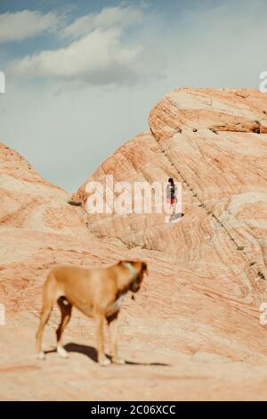 randonnée en short rouge avec chien en bas des dunes pétrifiées de roche rouge Banque D'Images