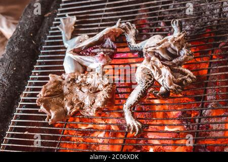 Des grenouilles et un rat sont grillés sur une grille chauffante Banque D'Images