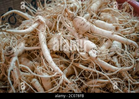 Une pile de ginseng asiatique frais sur un marché de rue à Séoul en Corée du Sud Banque D'Images