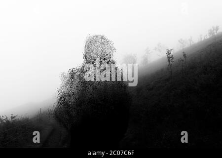 Un homme a fait une siloufose contre une colline par temps de brouillard, déformant. Avec un montage en noir et blanc. Banque D'Images