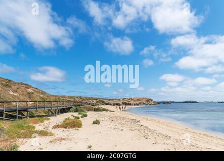 Plage sur Penguin Island, Rockingham, Australie occidentale, Australie Banque D'Images