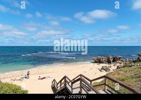 Plage sur Penguin Island, Rockingham, Australie occidentale, Australie Banque D'Images