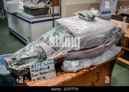 Thon rouge congelé de 60 kg de Boston aux États-Unis vendu au marché du poisson du matin Tsukiji à Tokyo au Japon Banque D'Images