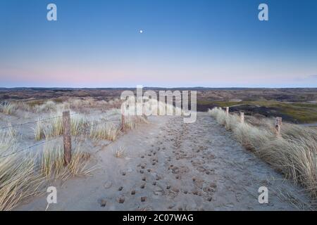 pleine lune sur le chemin de sable dans les dunes Banque D'Images