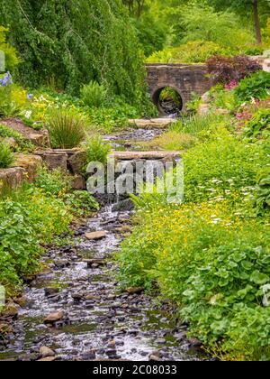 Jardin Woodland Stream avec passerelle en pierre aux jardins Harlow Carr à Harrogate. Banque D'Images