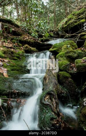 Une petite source se cascade sur un flanc de montagne escarpé et rocheux Banque D'Images