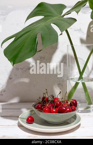 Cerises dans un bol vert sous les feuilles de monstère dans un vase en verre sur une table rustique blanche et un mur avec des ombres dures Banque D'Images