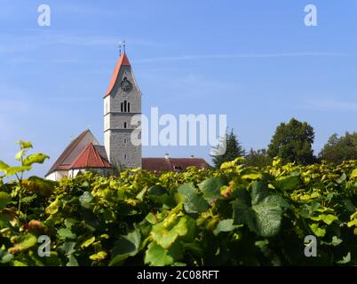 Église et vignes à Hagnau au lac de constance Banque D'Images