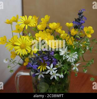 Bouquet de fleurs sauvages de printemps dans une tasse transparente Banque D'Images