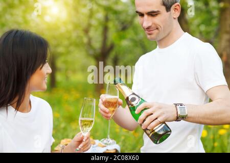 Happy smiling couple drinking champagne on picnic Banque D'Images