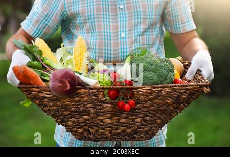 Panier rempli de légumes frais dans les mains d'un homme Banque D'Images