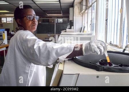 Eunice Muringa, un laboratoire scientifique, teste le sang à l'aide d'une machine Tango à la National Blood Service Zimbabwe à Harare. (Linda Mujuru, GPJ Zimbabwe) Banque D'Images