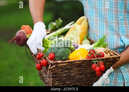 Panier rempli de légumes frais dans les mains d'un homme Banque D'Images