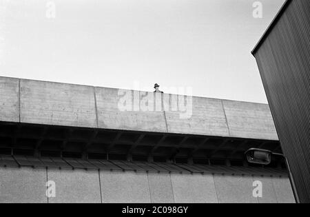 AJAXNETPHOTO. 10 MARS 1968. PORTSMOUTH, ANGLETERRE. - 2ÈME PLUS UGEST - L'HOMME REGARDE SUR PARAPIT DU COMPLEXE TRICORNE PRÈS DE LA ROUTE COMMERCIALE. LE BÂTIMENT EN BÉTON A ÉTÉ ÉLU DEUXIÈME PLUS UGEST EN GRANDE-BRETAGNE. MAINTENANT (2020) DÉMOLI.PHOTO:JONATHAN EASTLAND/AJAX REF:3568138 3 96 Banque D'Images