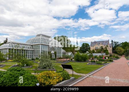 Les jardins botaniques de Kaisaniemi présentent plus de 3600 espèces de plantes différentes Banque D'Images