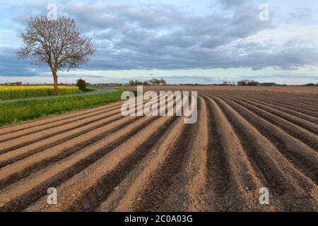 champ labouré sur les terres agricoles Banque D'Images