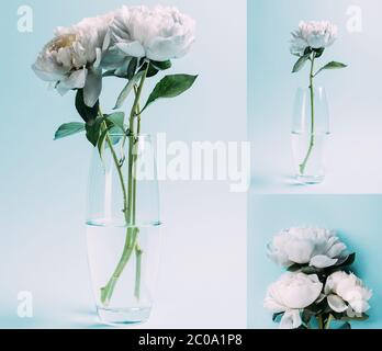 bouquet de pivoines blanches dans vase en verre sur fond bleu, collage Banque D'Images