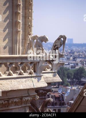 Gargoyle figure sur notre-Dame de Paris, Parvis notre-Dame – place Jean-Paul-II, Paris, Île-de-France, France Banque D'Images