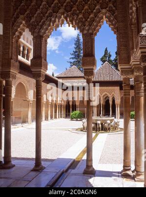 Patio de los Leones (Cour des Lions), Palacio Nazaries, la Alhambra, Grenade, province de Grenade, Andalousie (Andalousie), Royaume d'Espagne Banque D'Images