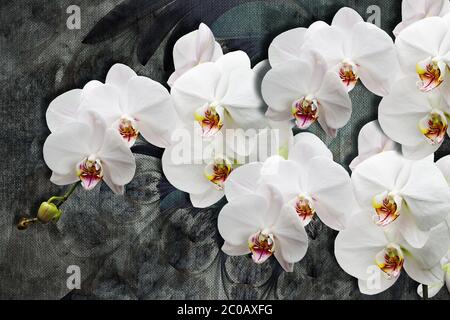 texture de papier peint 3d, orchidées blanches sur textures de toile abstraites. Fond gris. Effet de peintures murales. Banque D'Images