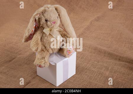 Lièvre jouet pour enfants assis sur une boîte de vœux. Félicitations concept. Banque D'Images