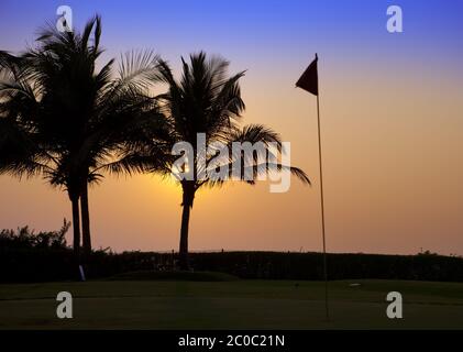 coucher de soleil sur les palmiers et les tags sur le parcours de golf Banque D'Images