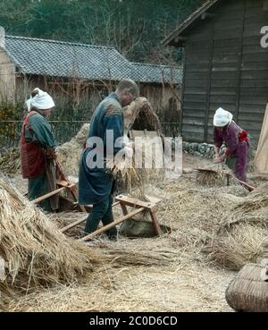 [ 1900 Japon - agriculteurs japonais battage du riz ] — trois agriculteurs japonais battent des tiges de riz avec une machine de battage Senbakoki. diapositive en verre vintage du xxe siècle. Banque D'Images