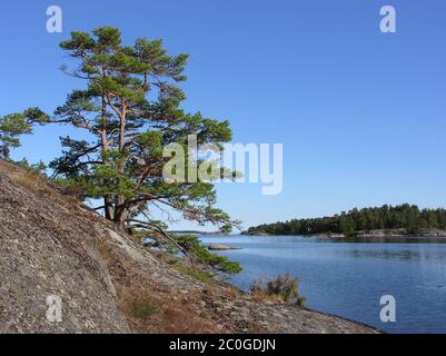 Côte de l'archipel suédois près de Västervik Banque D'Images