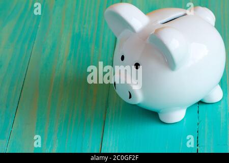 Pigeonny sur la surface en bois bleu Banque D'Images