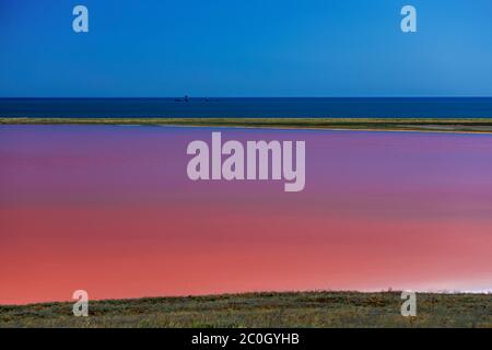 Lac salé rose Koyash en été, cap Opuk Kerch Crimée Banque D'Images