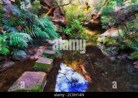 Marche en pierre à travers la crique d'eau froide dans Walls Walk grotte du Grand Canyon, Blue Mountains d'Australie. Banque D'Images