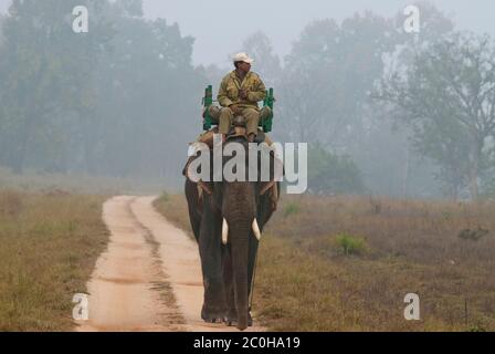 Garde-forestier patrouilant sur l'éléphant dans le parc national de Bandhavgarh, Inde Banque D'Images