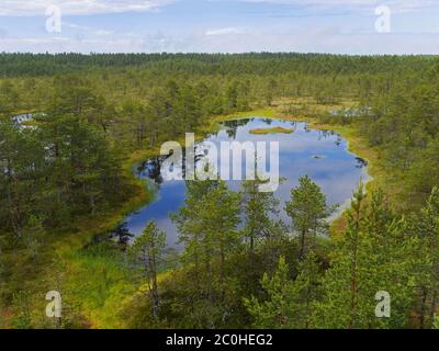 Lac de Viru Bog, Estonie Banque D'Images