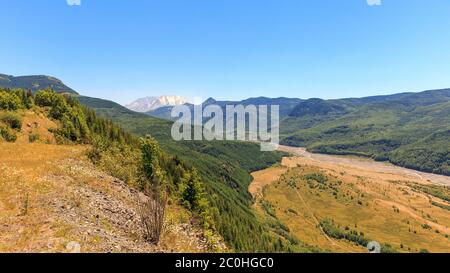 Vue sur le mont St. Helens et la vallée de la rivière North Fork Toutle depuis le point d'observation le jour d'été ensoleillé, État de Washington, États-Unis Banque D'Images