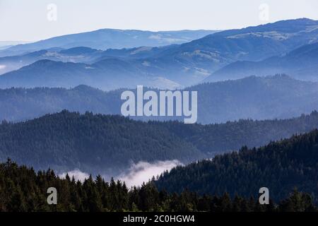 Schliengen, Allemagne. 12 juin 2020. Le brouillard matinal peut être vu depuis le sommet de la Hochblauen dans les vallées de la Forêt Noire. Les métérologues s'attendent pour la plupart à de beaux temps dans le sud-ouest pour le week-end. Credit: Philipp von Ditfurth/dpa/Alay Live News Banque D'Images