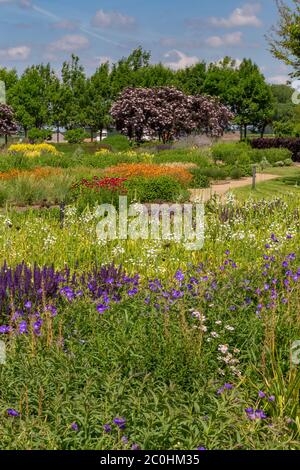 Jardin avec plusieurs lits de fleurs colorés et arbres en fleur en arrière-plan Banque D'Images