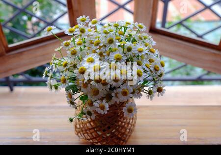 Vases de petite fleur de Marguerite sur la fenêtre avec deux ailes ouvertes pour regarder frais et espace vert, romantique, simple, chasteté à la maison séjour matin, Da Lat Banque D'Images