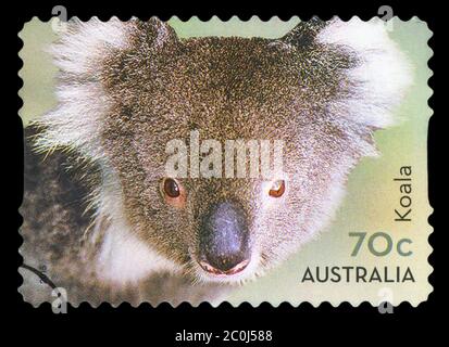 AUSTRALIE - VERS 2015 : un timbre imprimé en AUSTRALIE montre l'ours Koala, série internationale de la poste, vers 2015. Banque D'Images