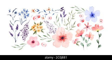 Fleurs aquarelle dessinées à la main sur fond blanc isolé. Décoration florale de printemps de style vintage. Illustration de Vecteur