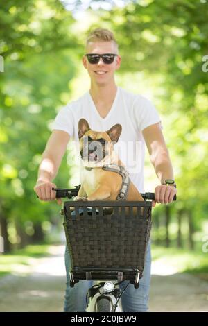 Chien de taureau français appréciant l'équitation dans le panier de bycicle dans le parc de la ville Banque D'Images